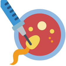 ivf treatment